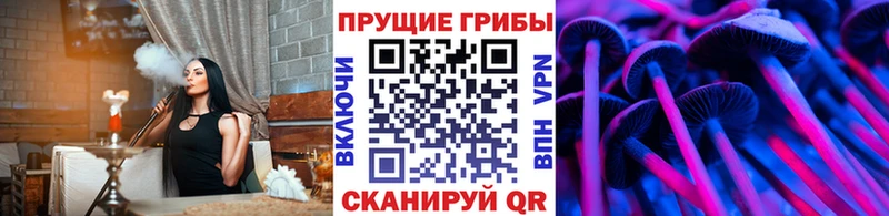 Галлюциногенные грибы прущие грибы  Купить где  Саранск 