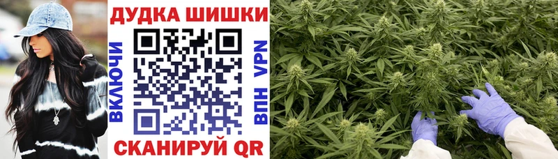 Шишки марихуана план Купить Саранск